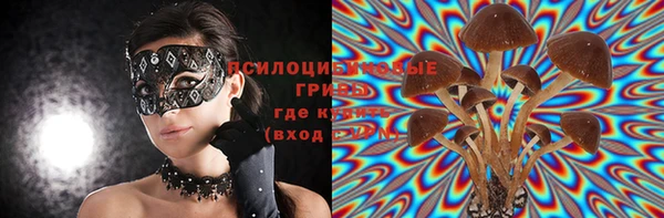 круглые Бронницы