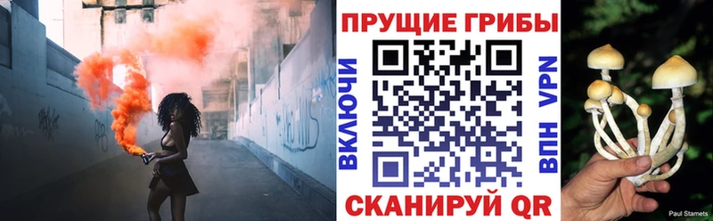 blacksprut онион  Улан-Удэ  Псилоцибиновые грибы Psilocybine cubensis  как найти закладки 